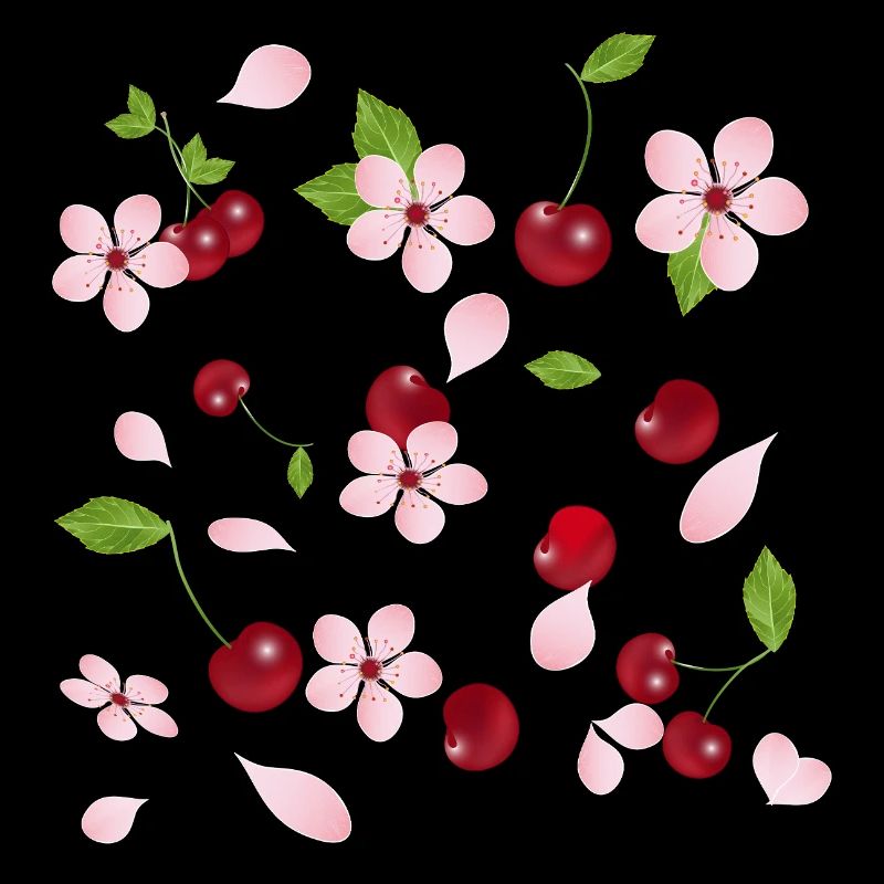 Cherry blossoms and cherries – romantic nature design