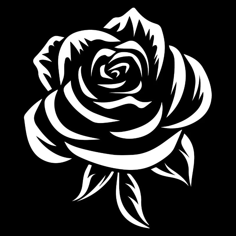 Rose blanche