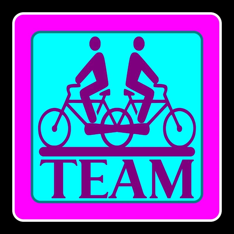 TEAM PROBLEMS - BIKE