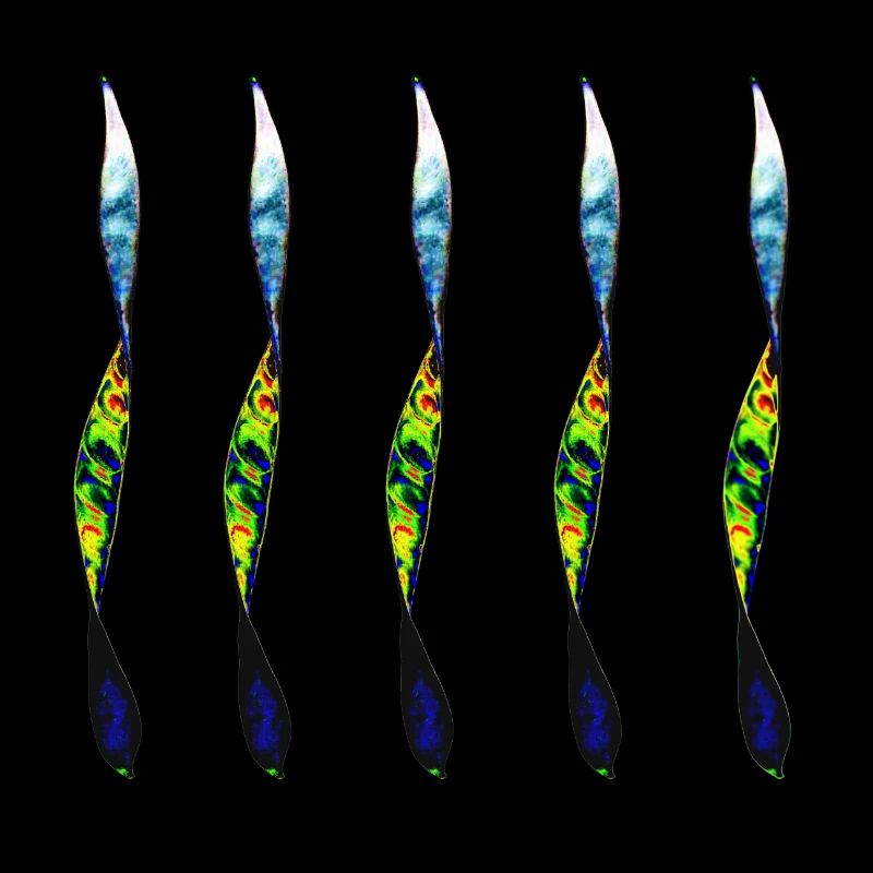 twisted pair