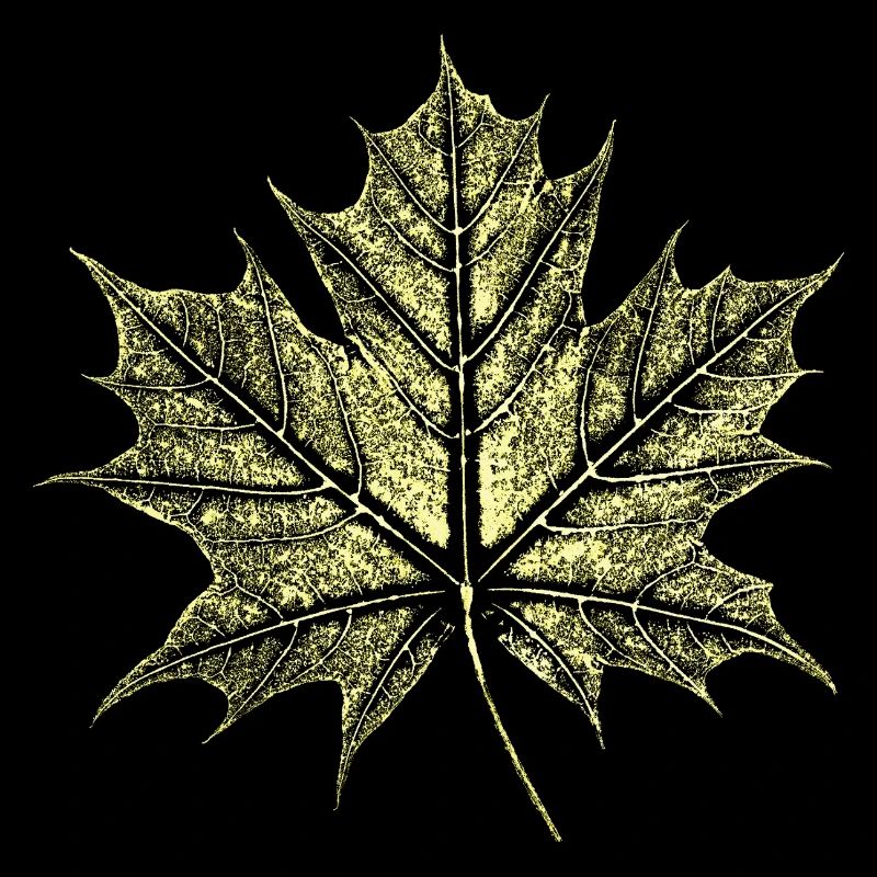 Maple Leaf / Botany - Natural
