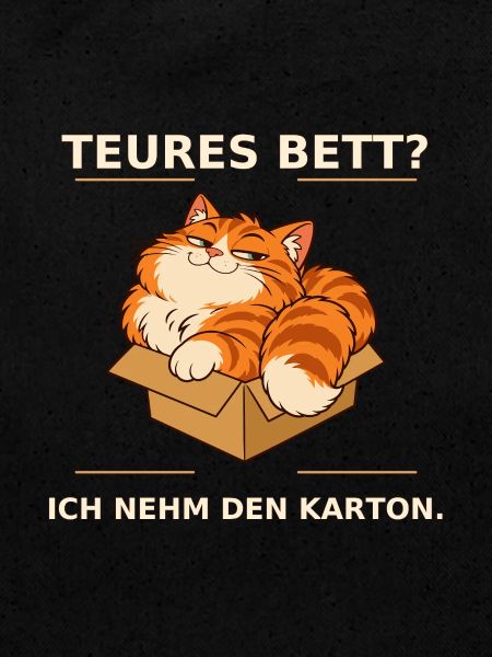 Kartonliebe Katze – Teures Bett