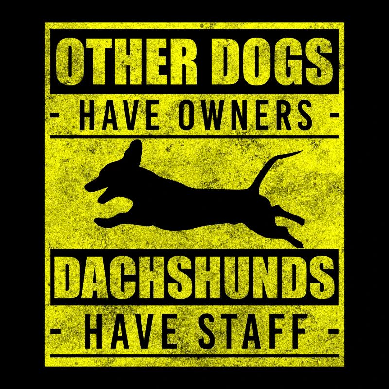 Teckel Dog Lover Chiot École de chiens
