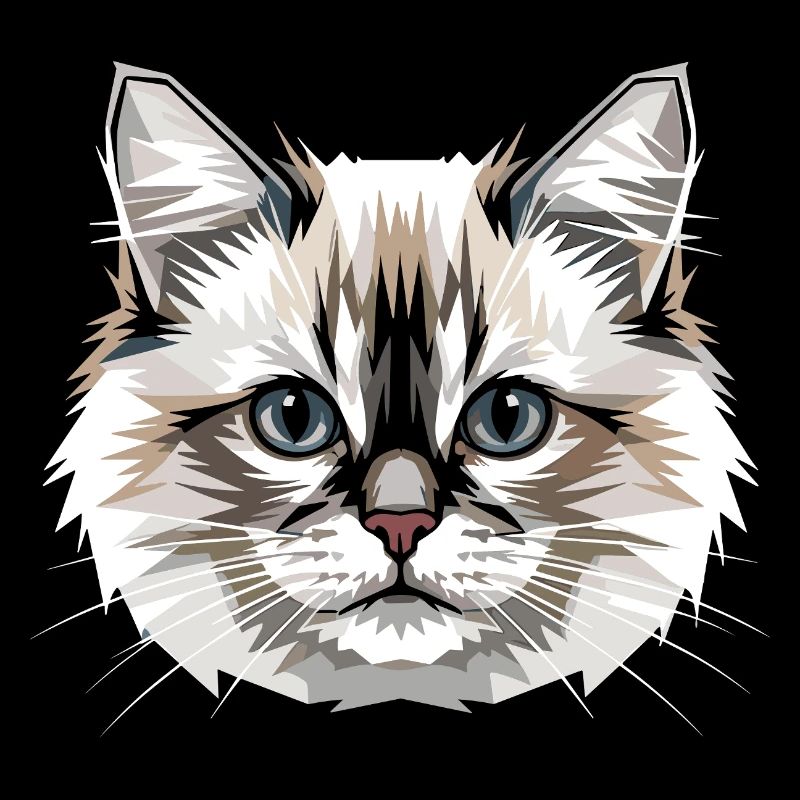 Ragdoll Chat Ragdoll Chat Mignons Chats Ragdoll
