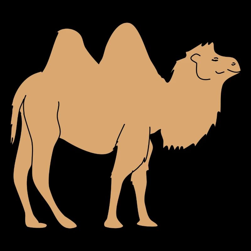 camel