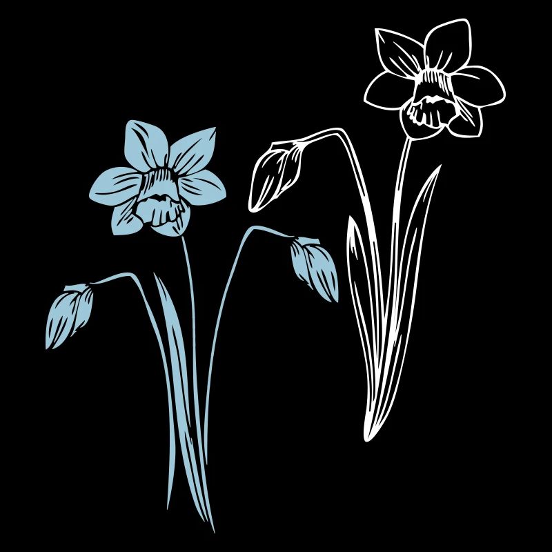 Daffodils