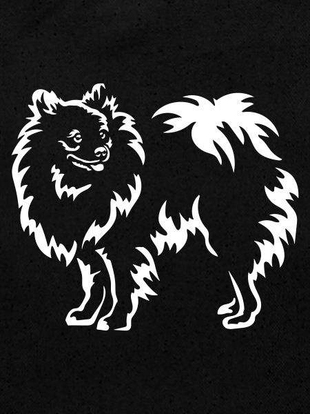 Spitz « Édition Noire »