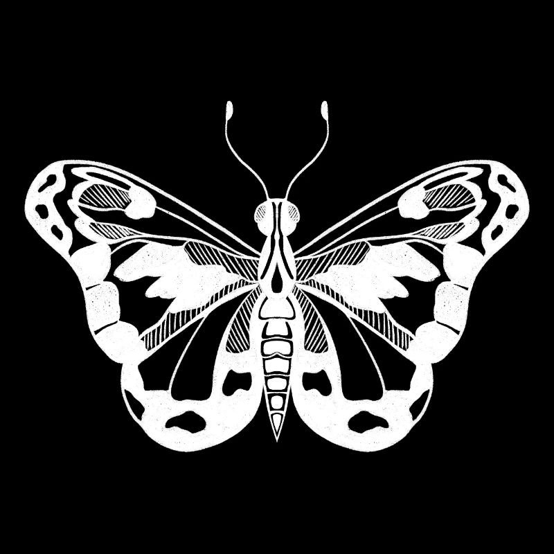 Papillon Design minimal