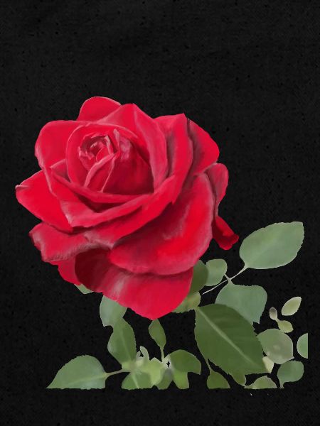 Rose rouge