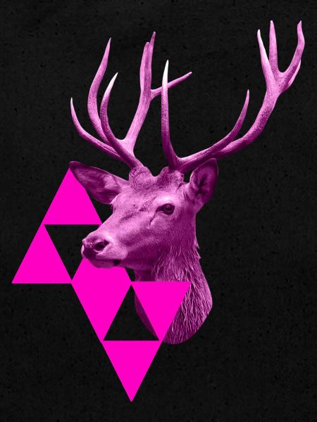 Cerf rose