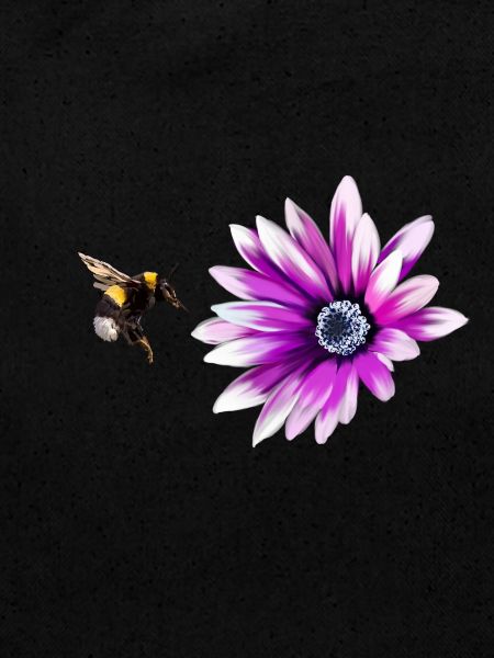 Bumblebee and flower