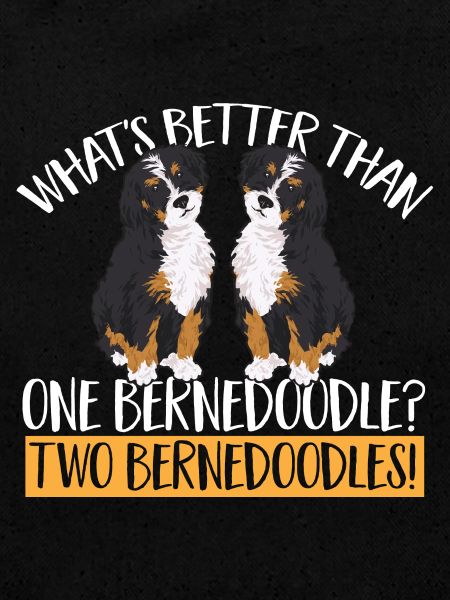 Chien Bernedoodle
