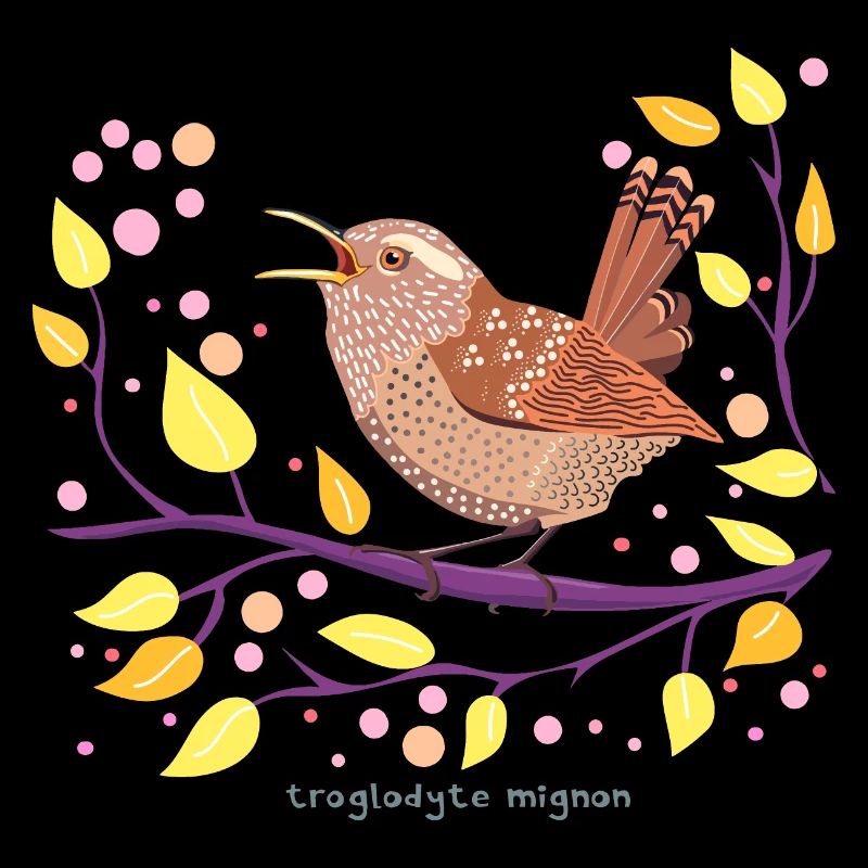 troglodyte mignon