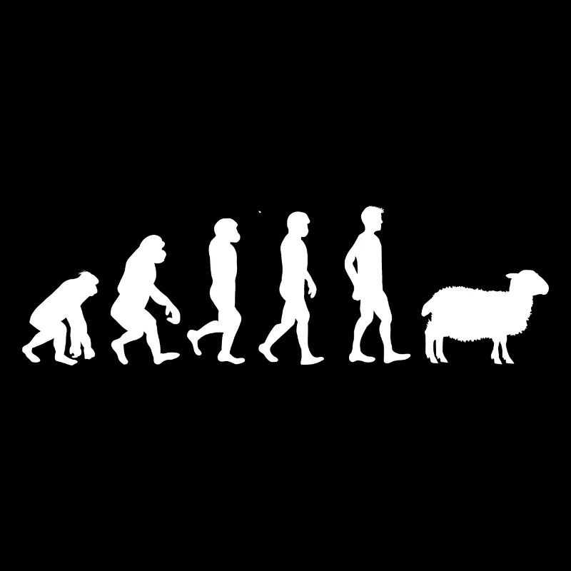 Evolution mouton