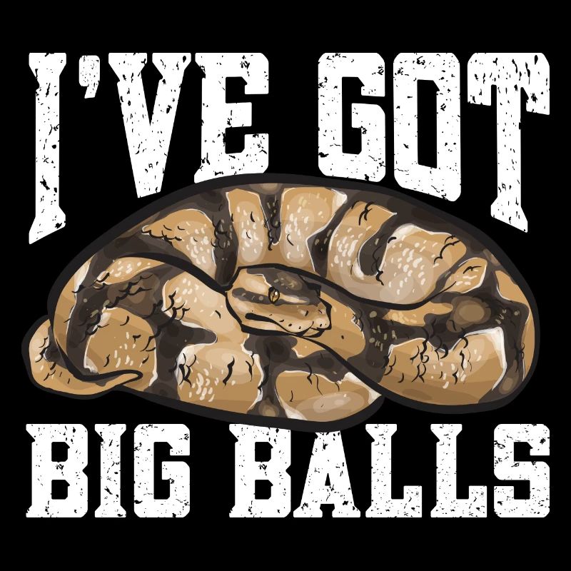 Ball Python Schlange Königspython