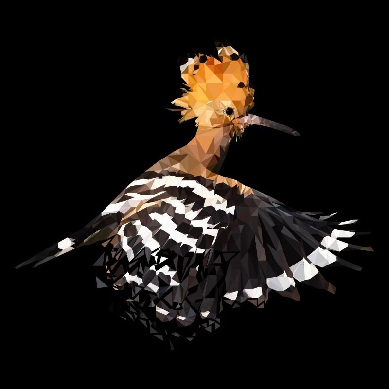 Huppe (Upupa epops) Oiseau de l’année 2022