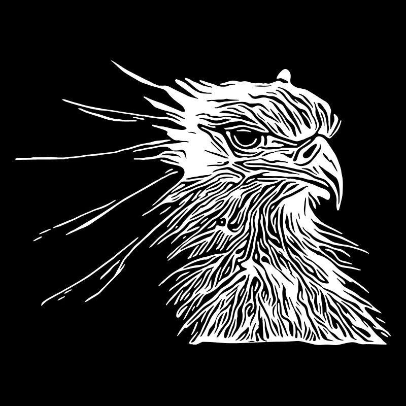 oiseau