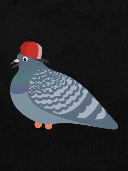 Cool Pigeon Friend