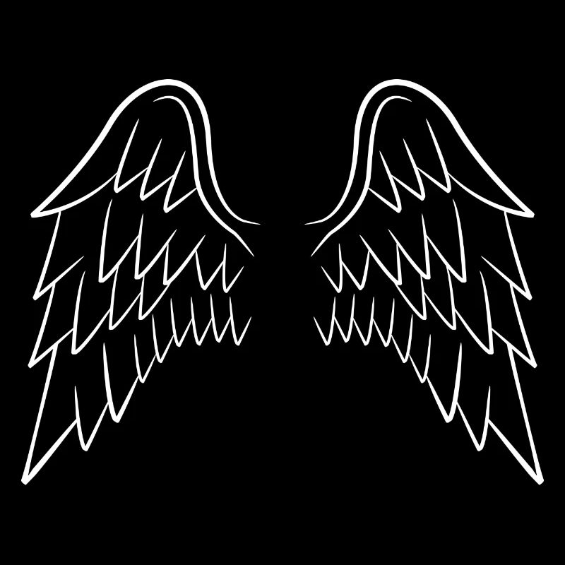 Les ailes de l’ange blanc