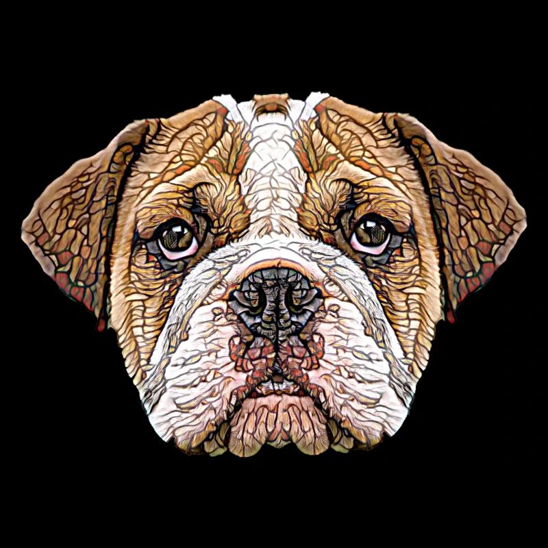 Visage de bouledogue anglais
