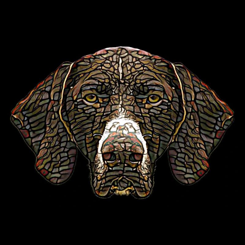 German Shorthaired Pointer Face