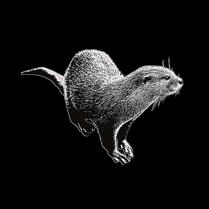 Loutre