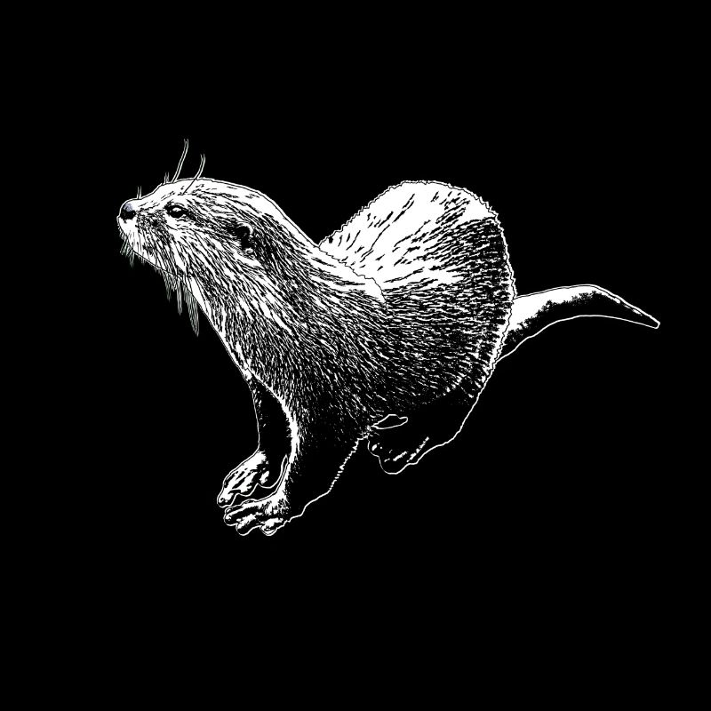 Loutre