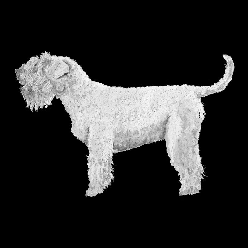 Irish SoftCoated WheatenTerrier