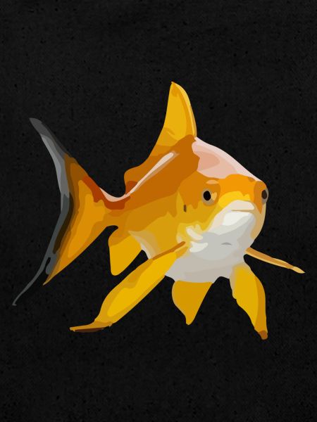 Goldfish