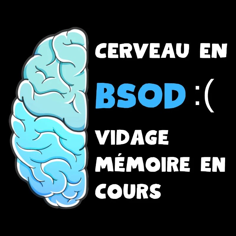 Vidage mémoire en cours. BSOD