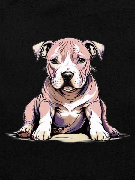 Chiot Pitbul