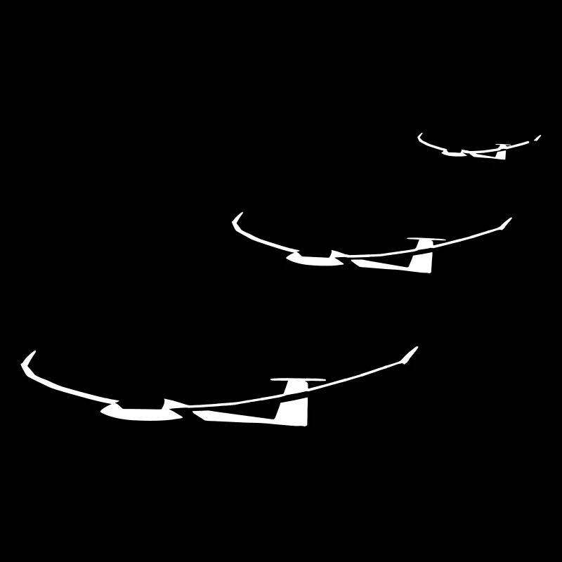 Glider Gliding Glider Glider Pilot Pilot