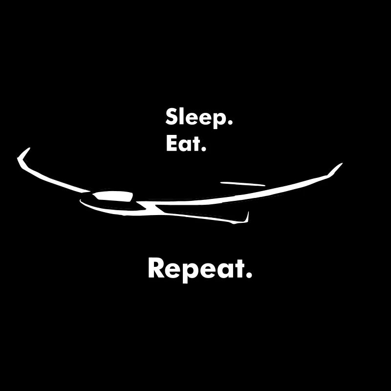 Glider Glider Glider Pilot Pilot