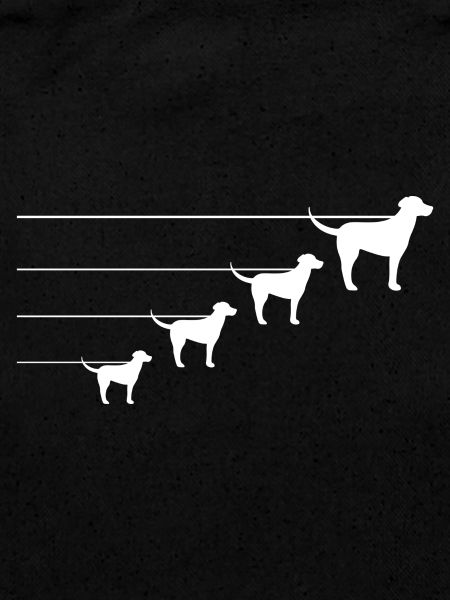 Chien Hund