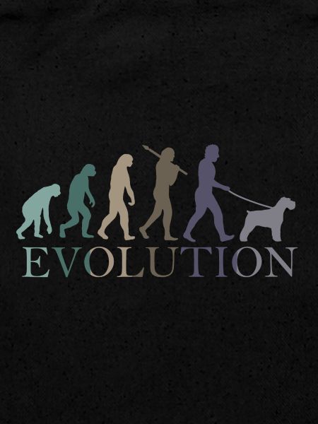 L’ÉVOLUTION DU SCHNAUZER