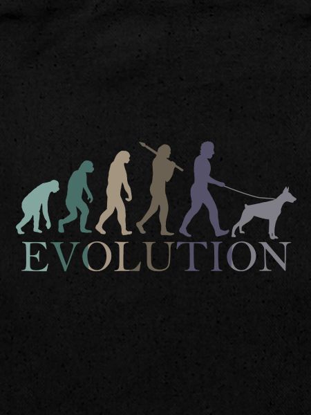 L’évolution du DOBERMAN