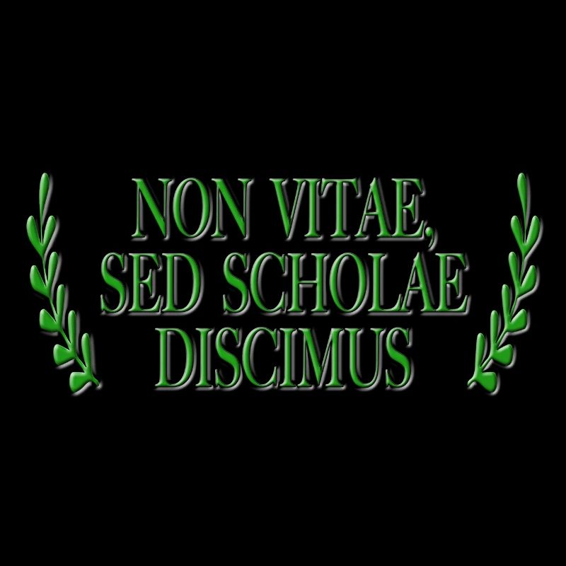 Non Vitae Sed Scholae Discimus