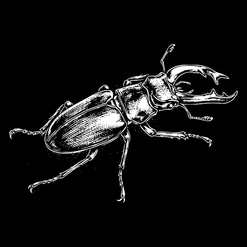 Big Insect Drawing-Design