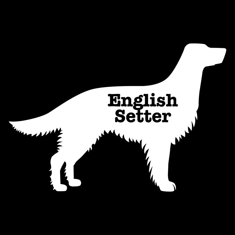 Englisch Setter