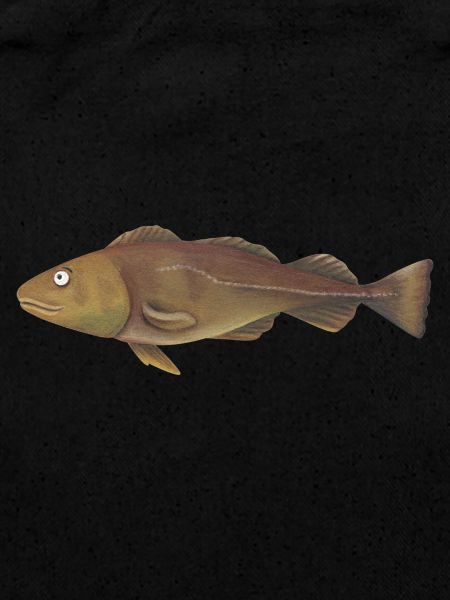 Cod