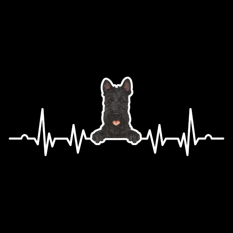 Scottish Terrier Scottie Hund
