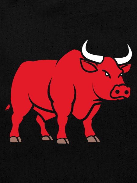 Bull