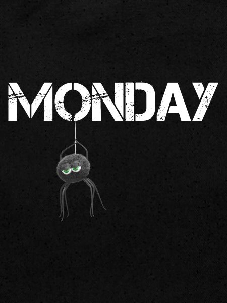 Monday Spider