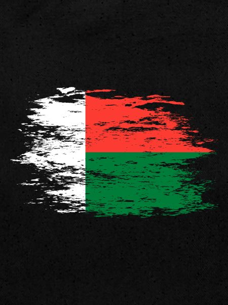 Drapeau de Madagascar utilisé