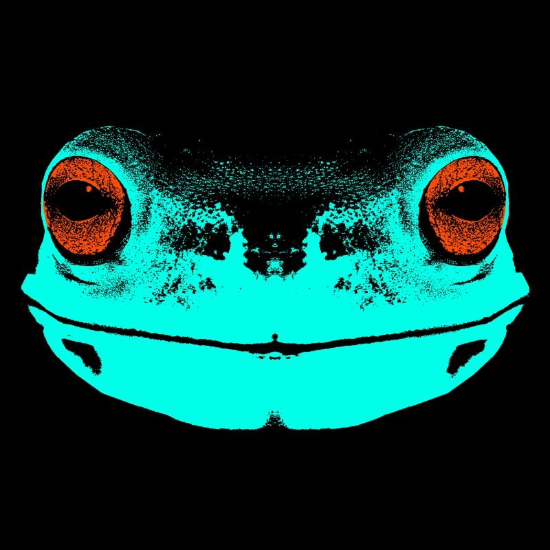Grenouille / visage / coloré