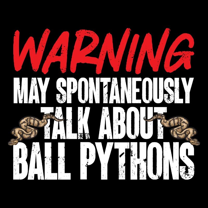 Ball Python Snake King Python