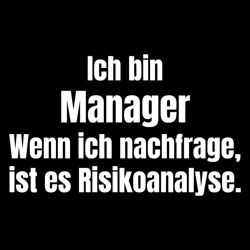 I am a Risk Analysis Manager