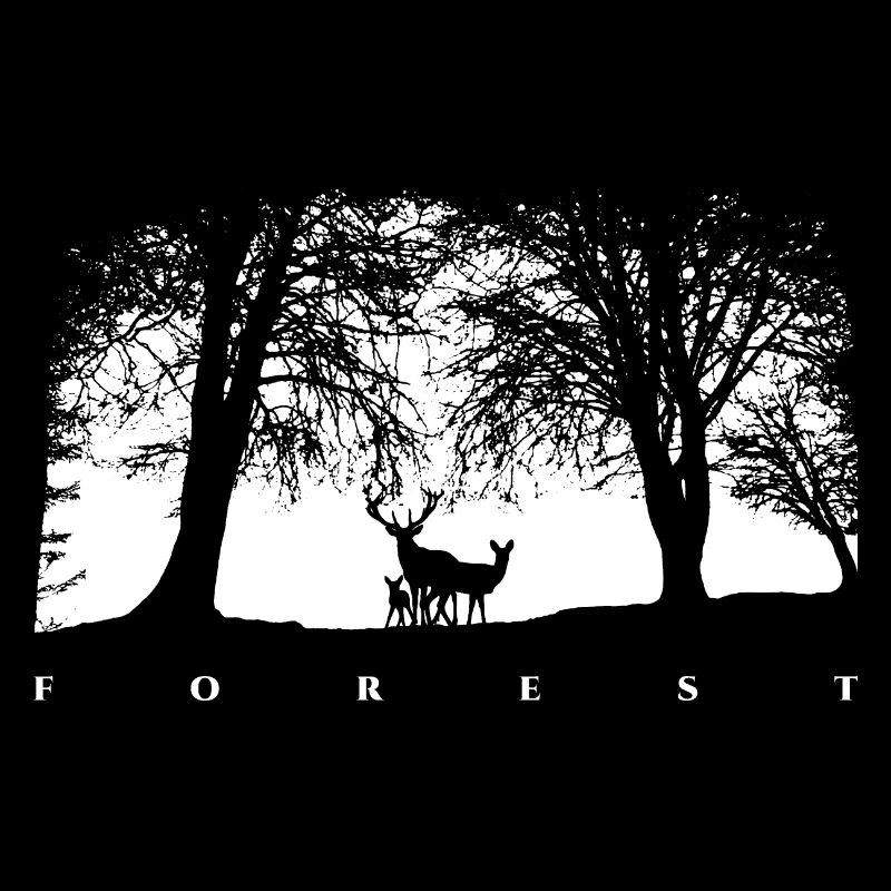 Forêt Blanche