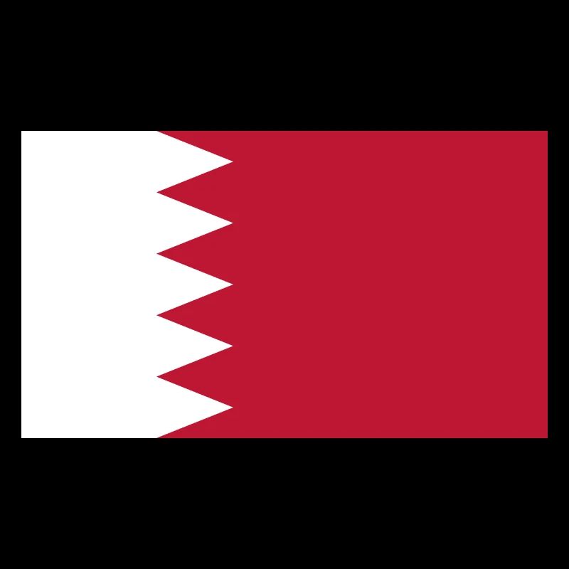 Qatar Flag Flag