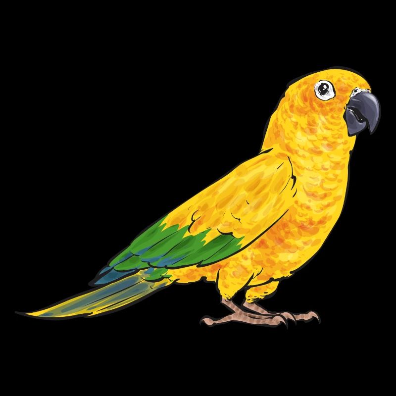 Perruche, Perroquet, Perruche, Oiseau